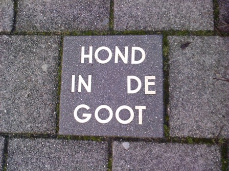 hond in de goot